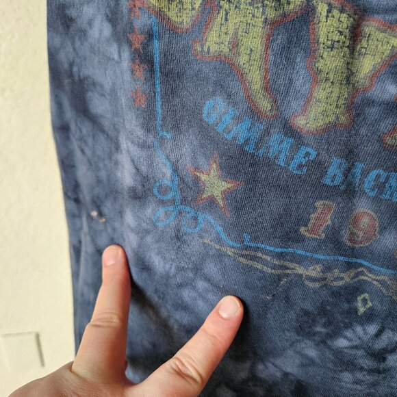 Lynyrd Skynyrd Anvil 2000s Y2K Reprint Short Sleeve Crew Neck TShirt Rock Band L - Picture 5 of 6